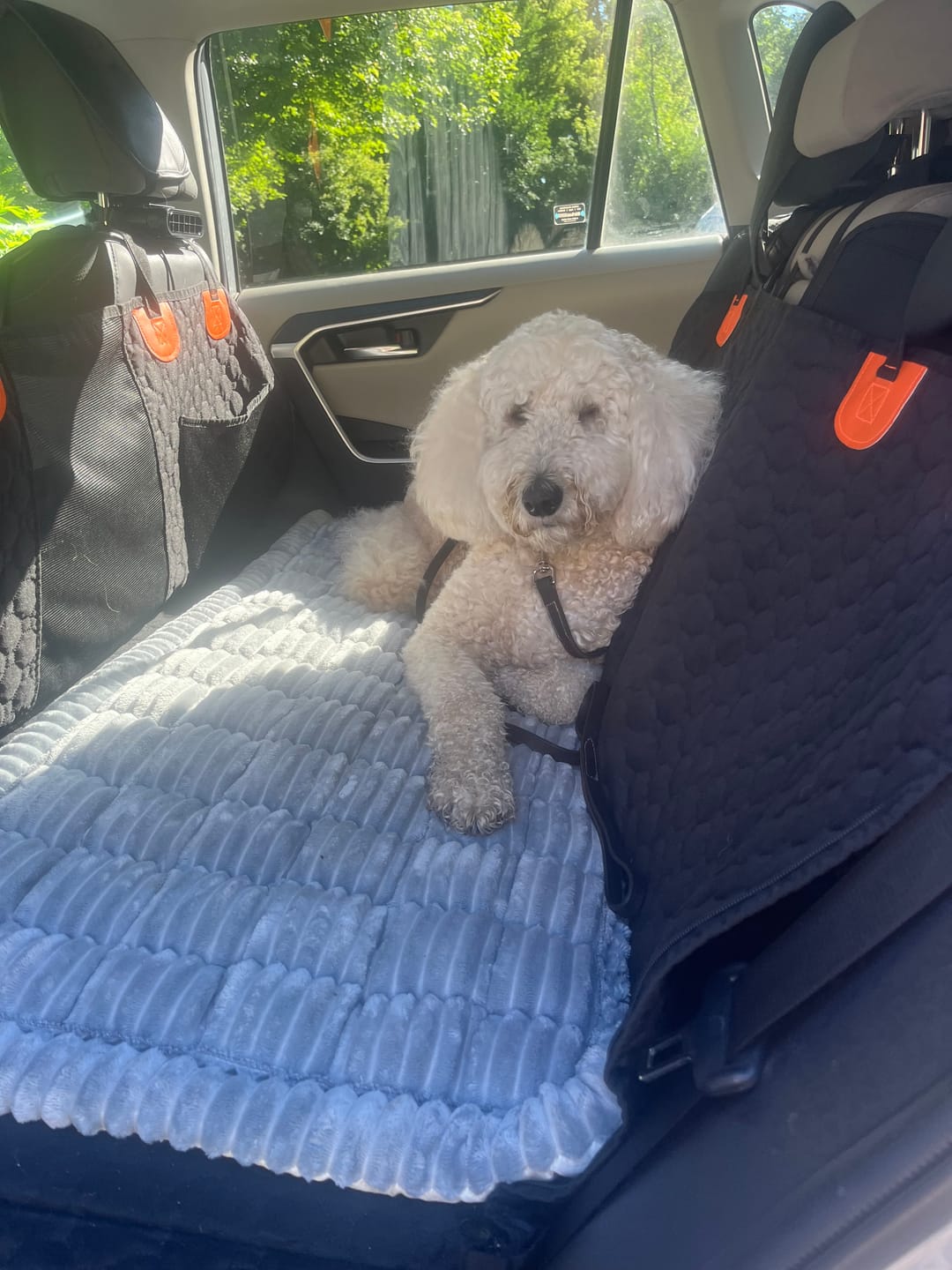 Customer photo review of Thickened Dog Bed for Car Back Seat & Couch