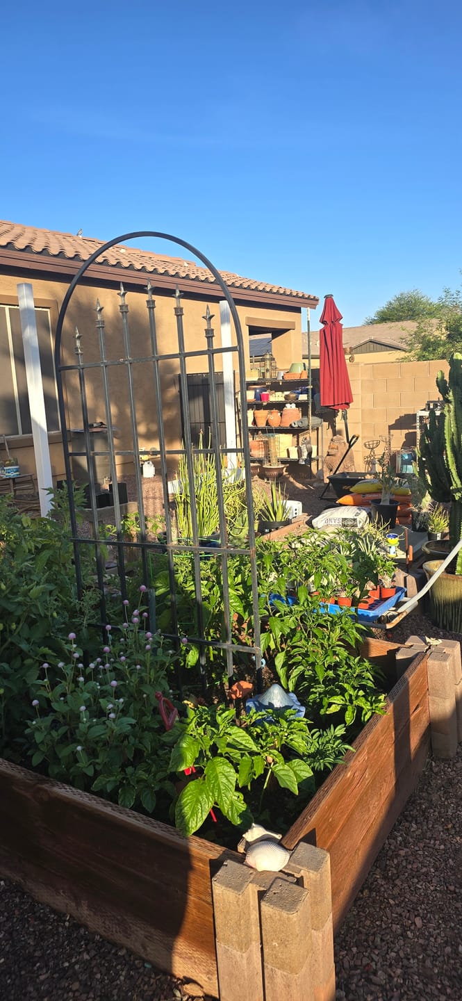 Customer photo review of Dirty Hoes T-Shirt