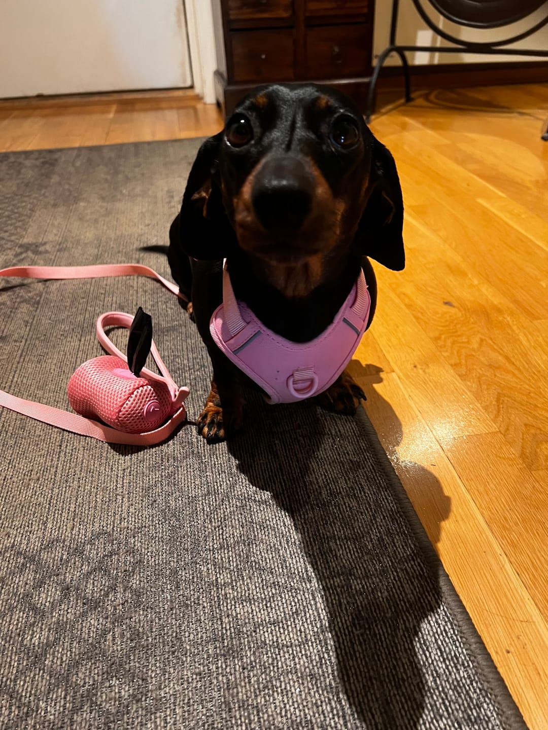 Customer photo review of Rosa Mini Bundle