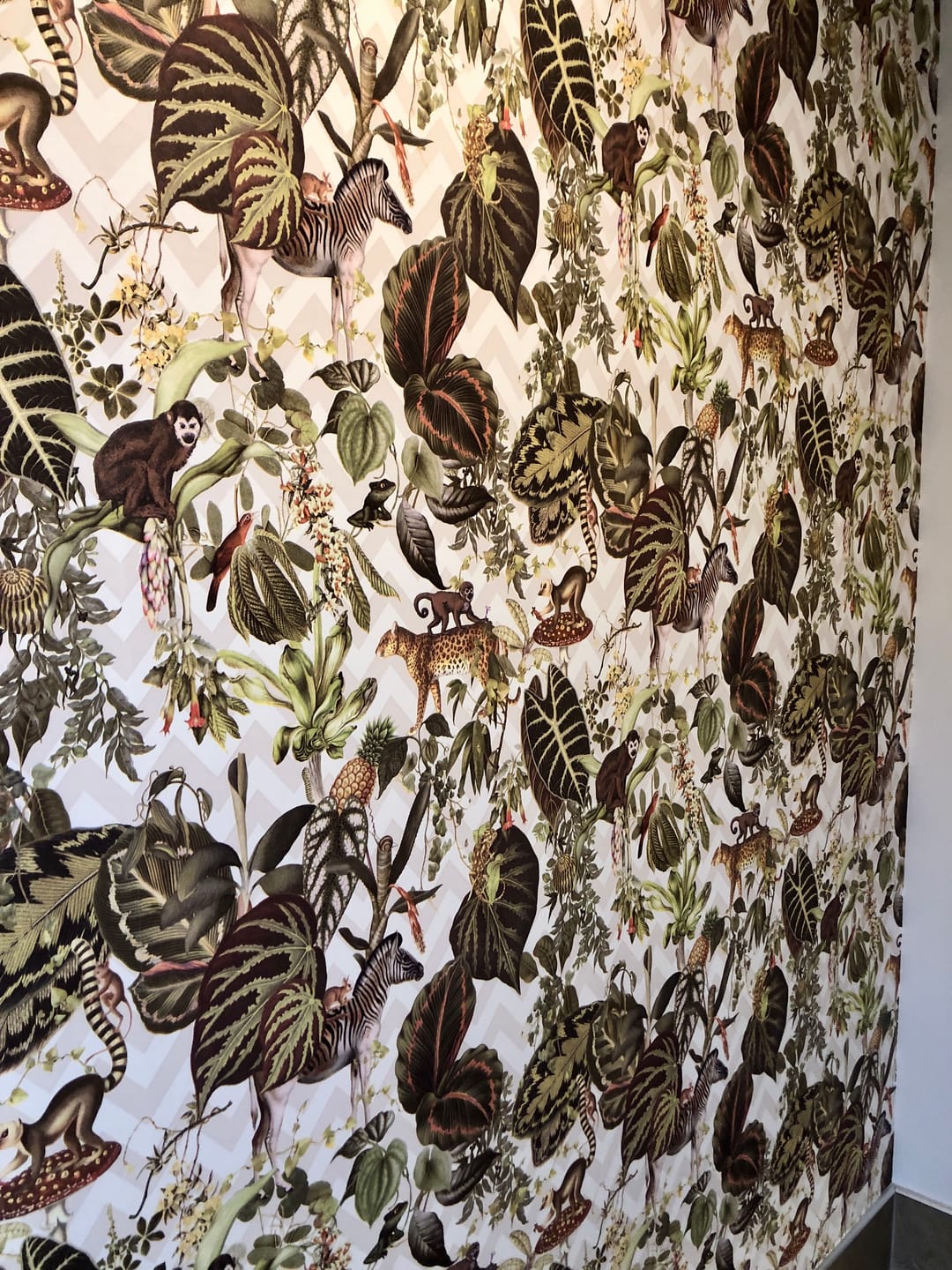 Customer photo review of Living Jungle Chevron Wallpaper - Beige Last 4 Rolls