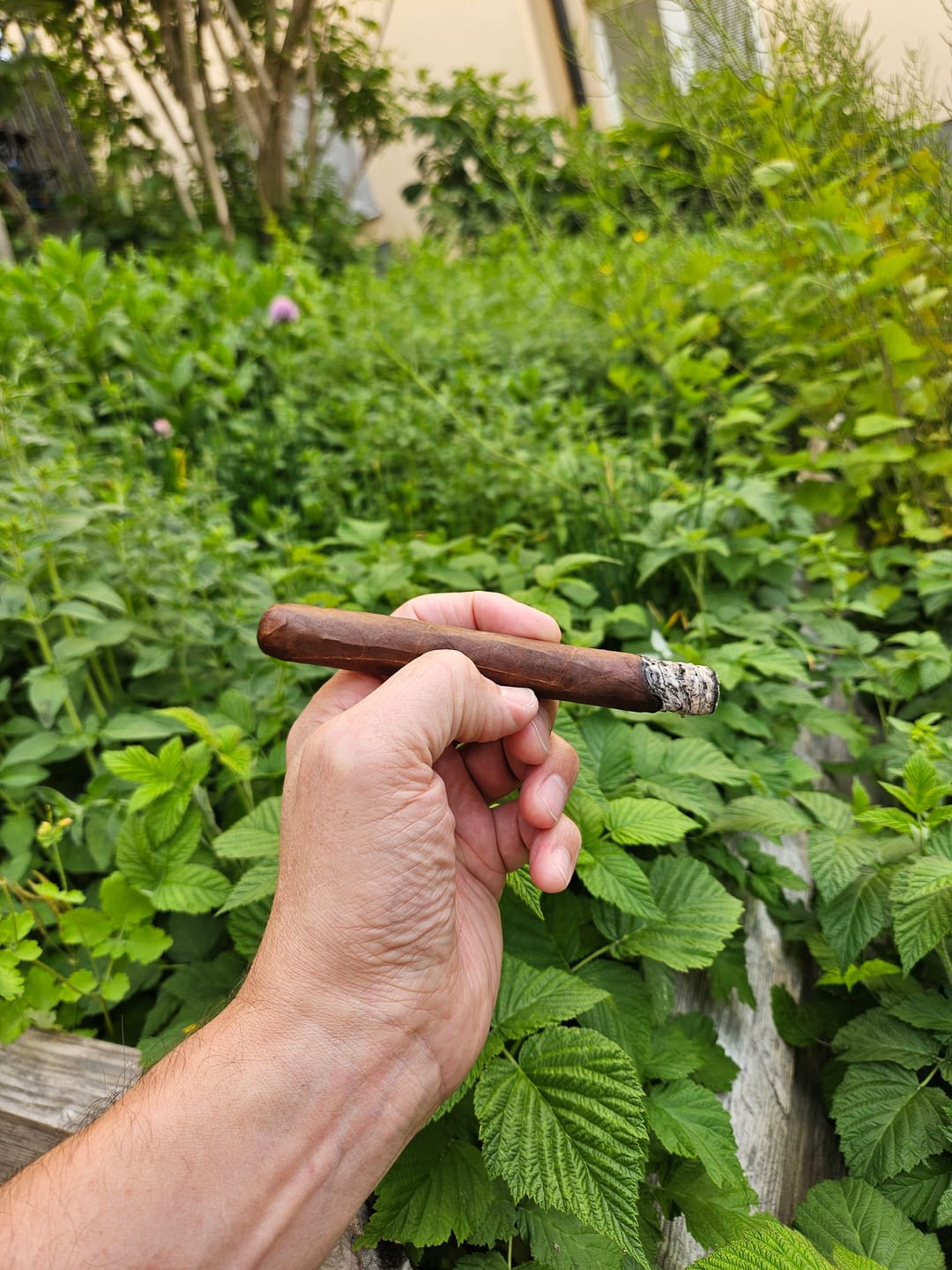 Customer photo review of Dunbarton Tobacco & Trust Muestra De Saka Krakatoa
