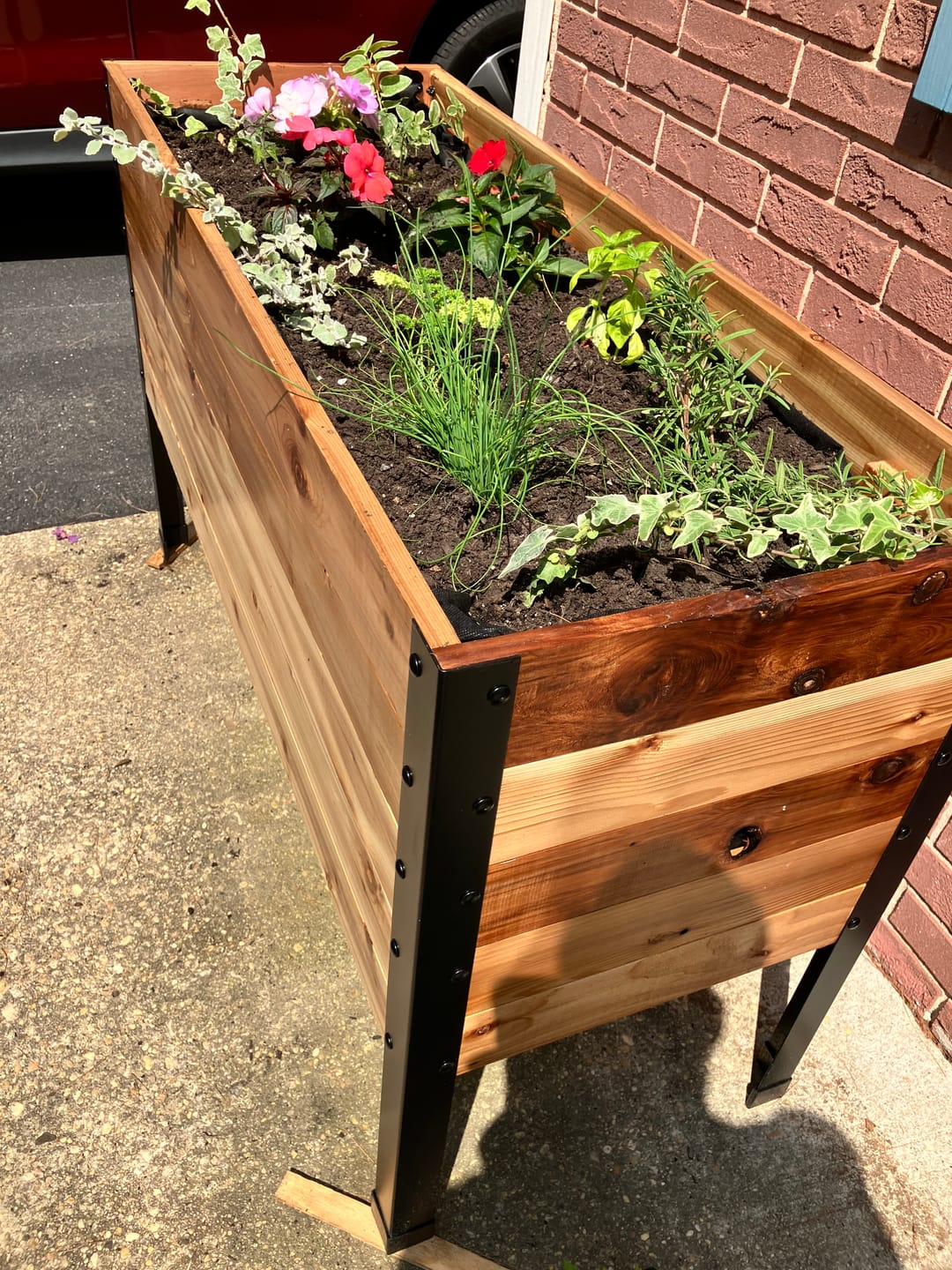 Customer photo review of 18" x 48" Raised Garden Bed - 30" TALL / Garden Grade