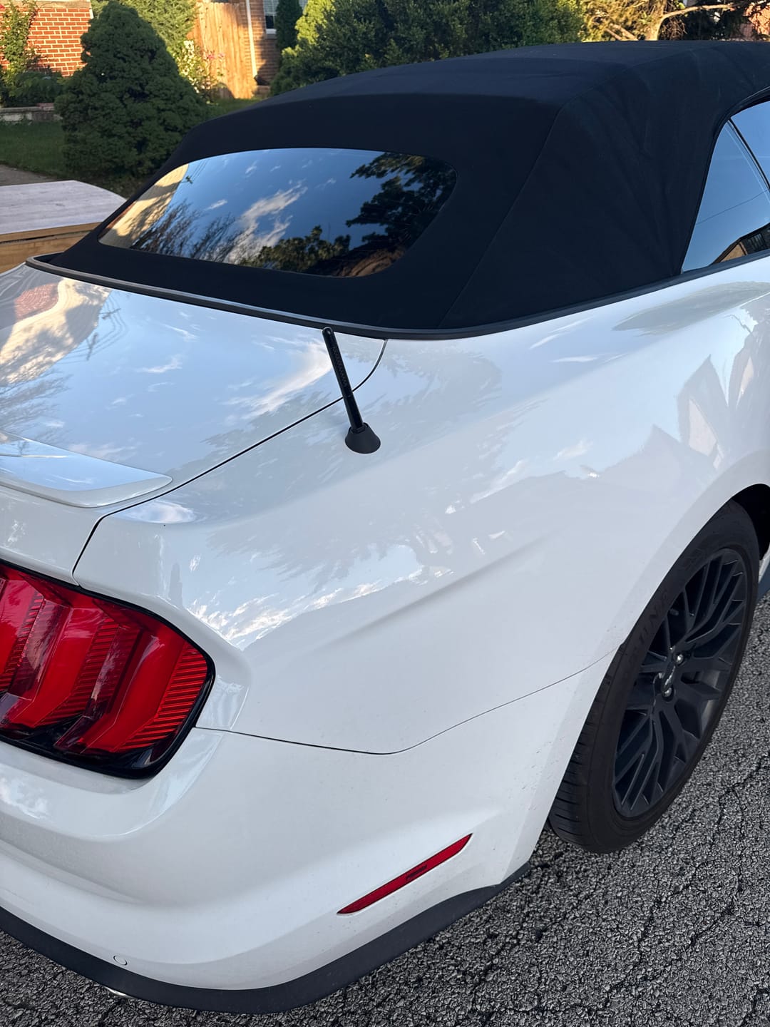 Customer photo review of 80Eighty® Carbon Antenna