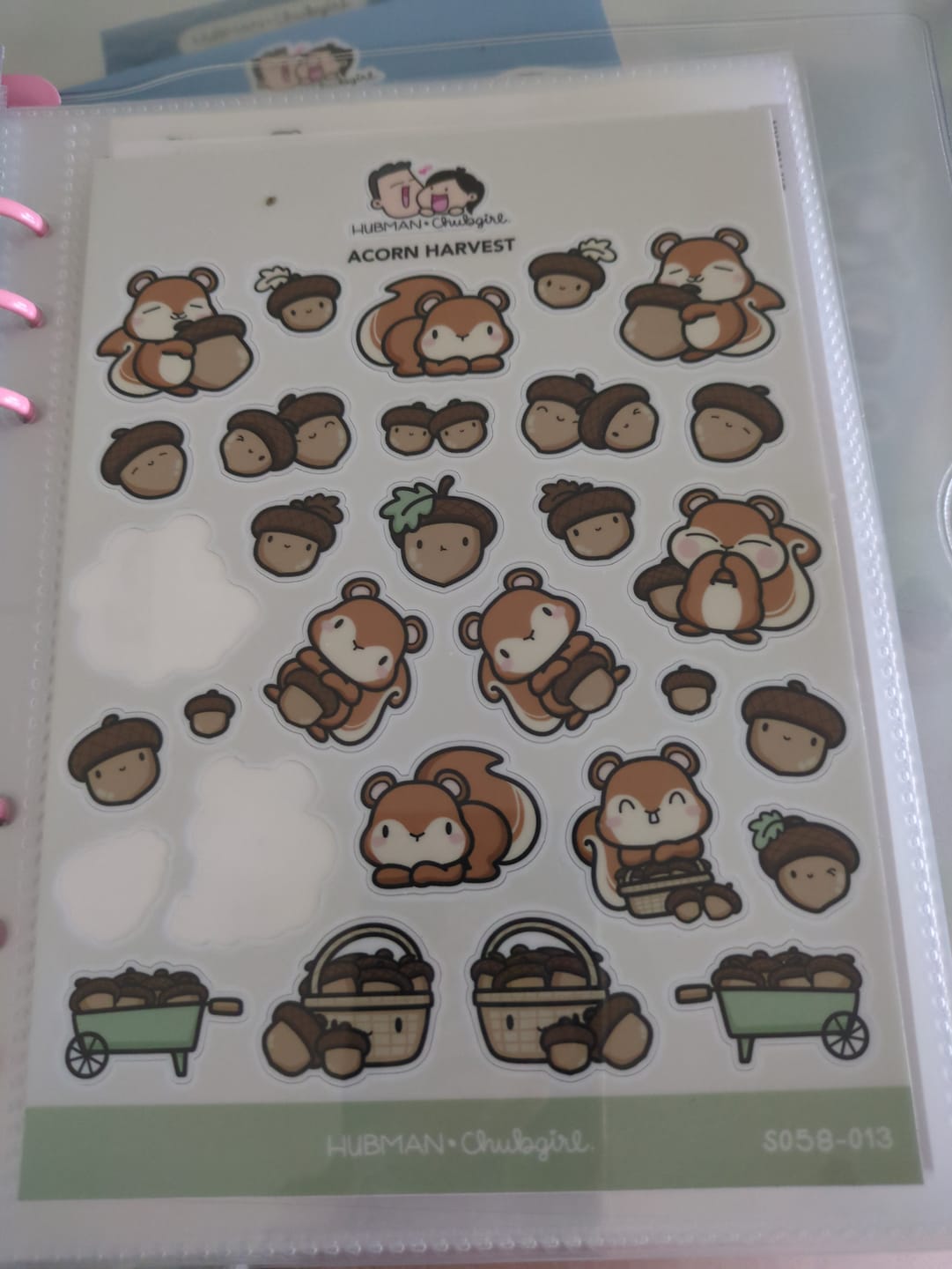 Customer photo review of Acorn Harvest Sticker Sheet