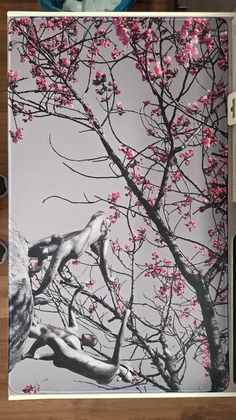 Customer photo review of iD Playmat
