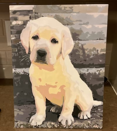 Customer photo review of Custom Paint By Numbers - Personalized Pet Portraits