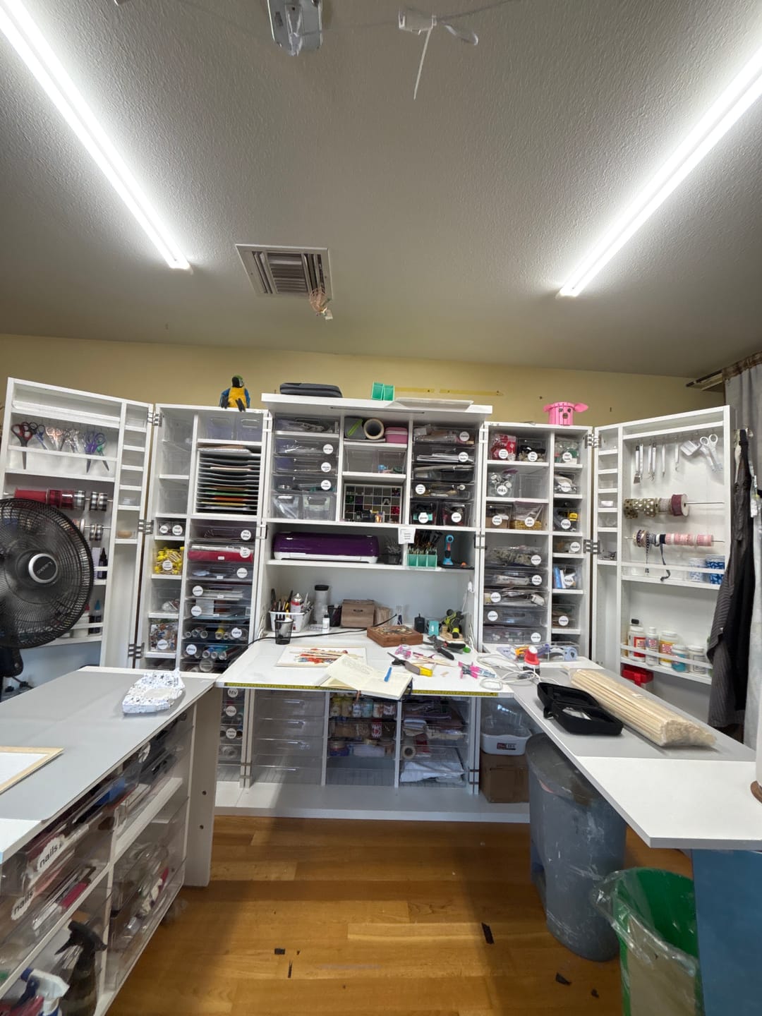 Customer photo review of DreamBox XL