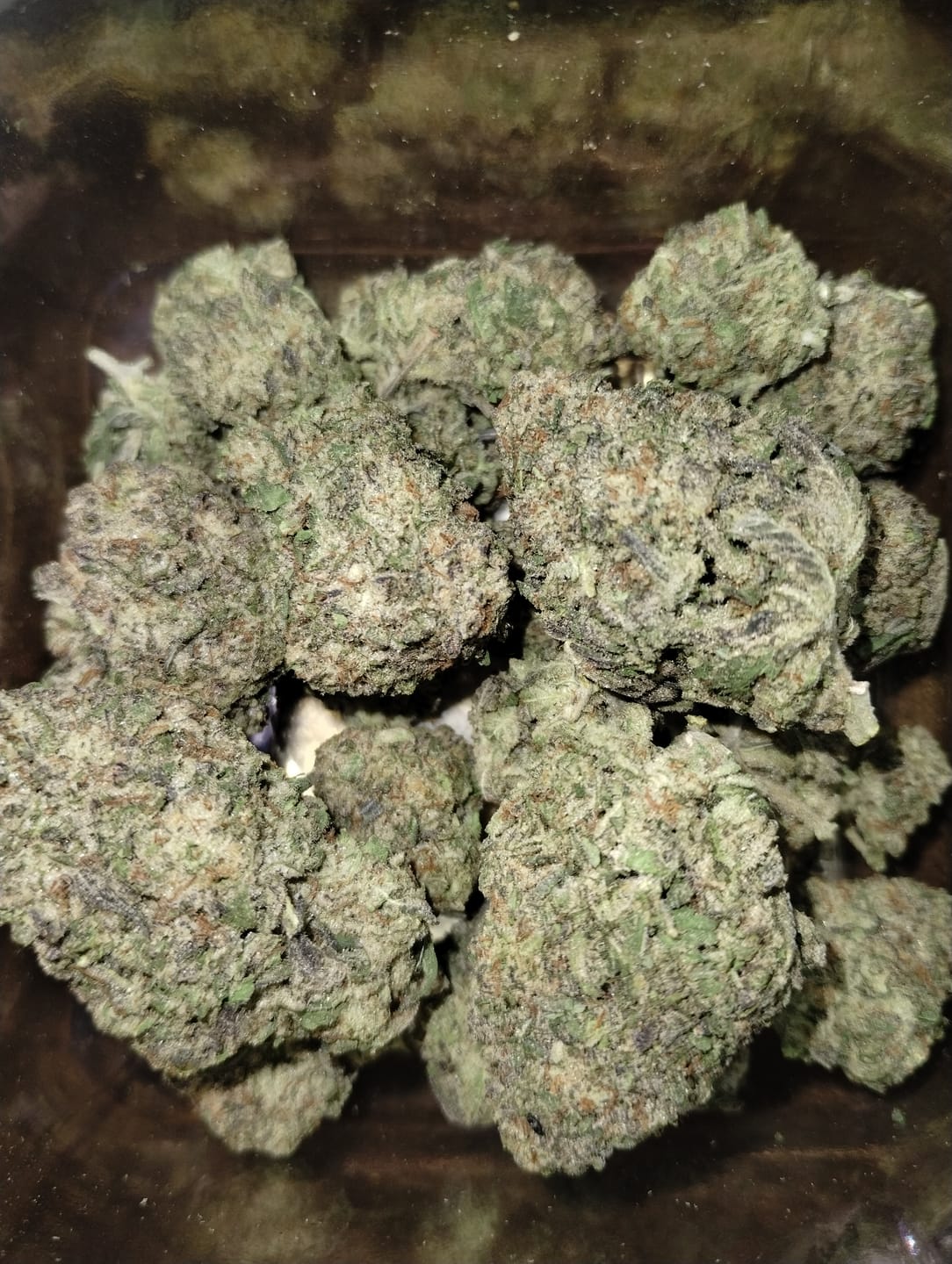 Customer photo review of Truffle Indoor - Bulk - Indica