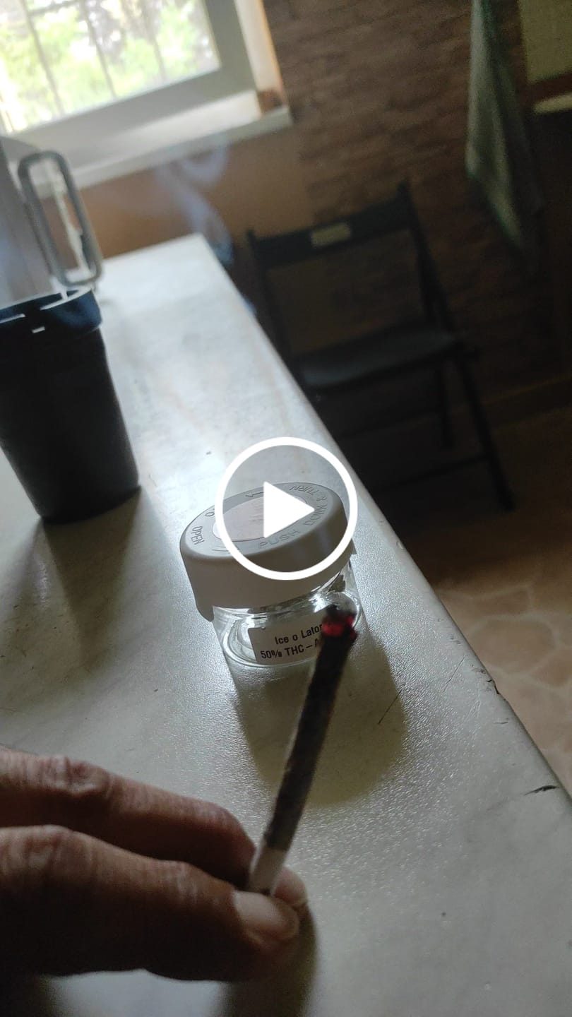 Customer video review of ICE-O-LATOR 50% THCA