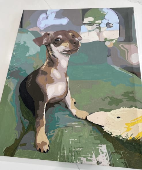 Customer photo review of Custom Paint By Numbers - Personalized Pet Portraits