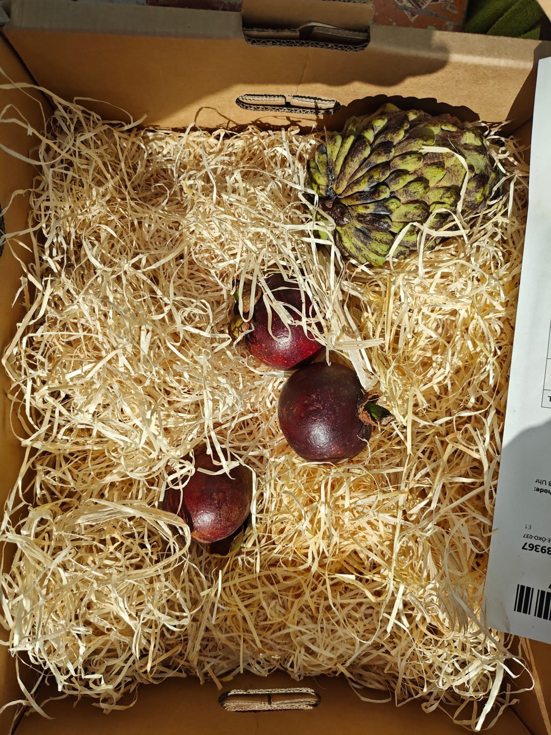 Customer photo review of Mangostan naturbelassen von Juan