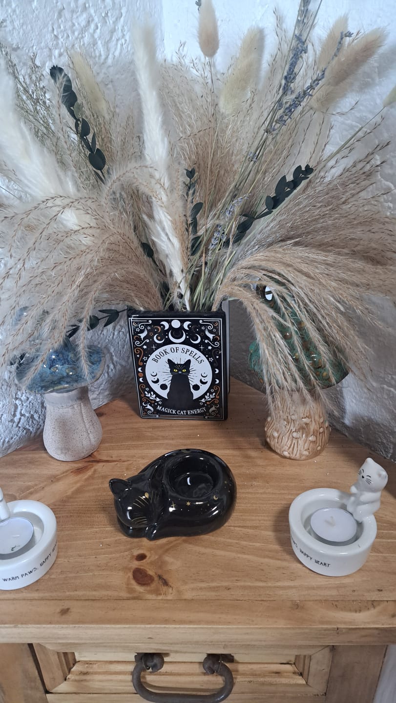 Customer photo review of Schwarze Katze Buch Vase – Witchy Blumenvase für Katzenliebhaber