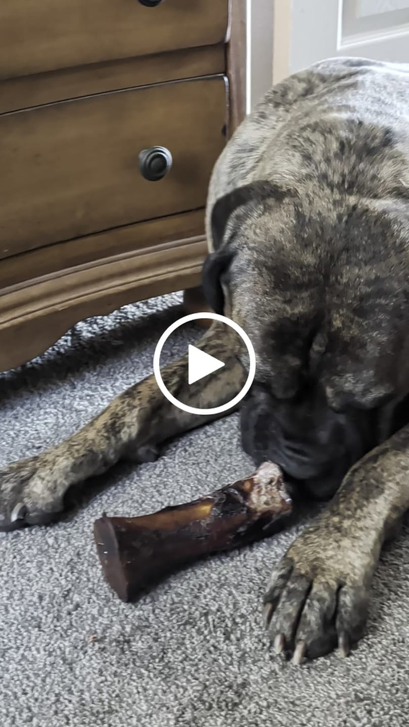 Customer video review of Smoked Beef Marrow Bone