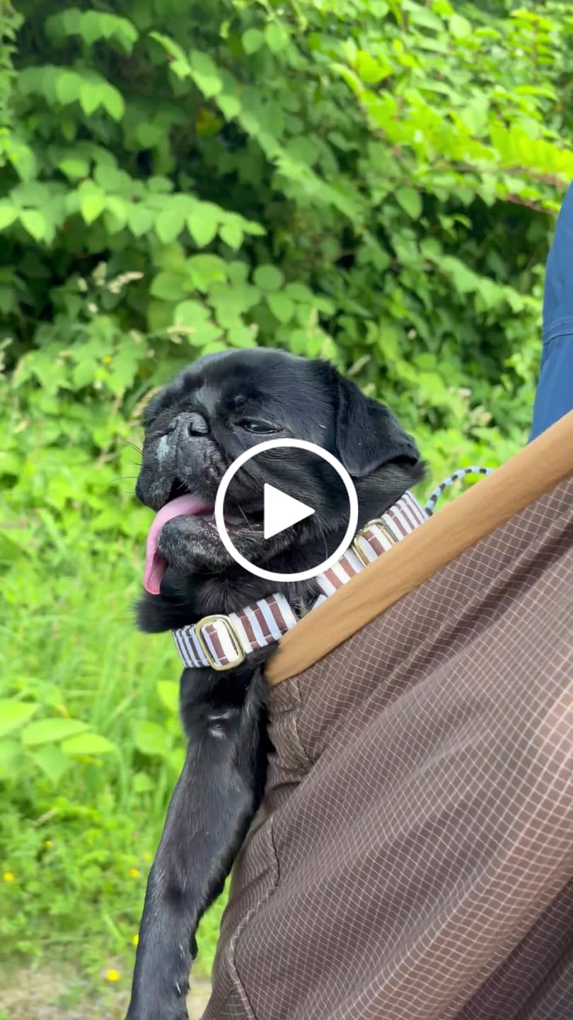 Customer video review of Sac de transport en bandoulière marron - Version printemps / été