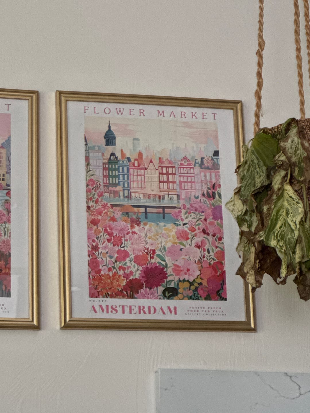 Customer photo review of Amsterdam Flower Poster