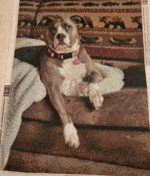 Customer photo review of Custom Diamond Painting Kits