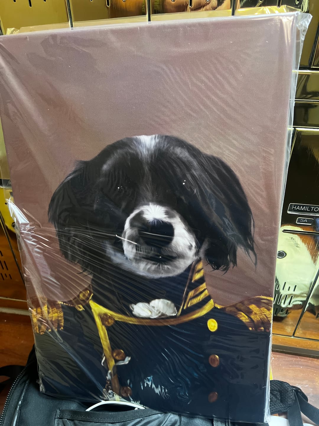 Customer photo review of The Admiral - Custom Pet Canvas