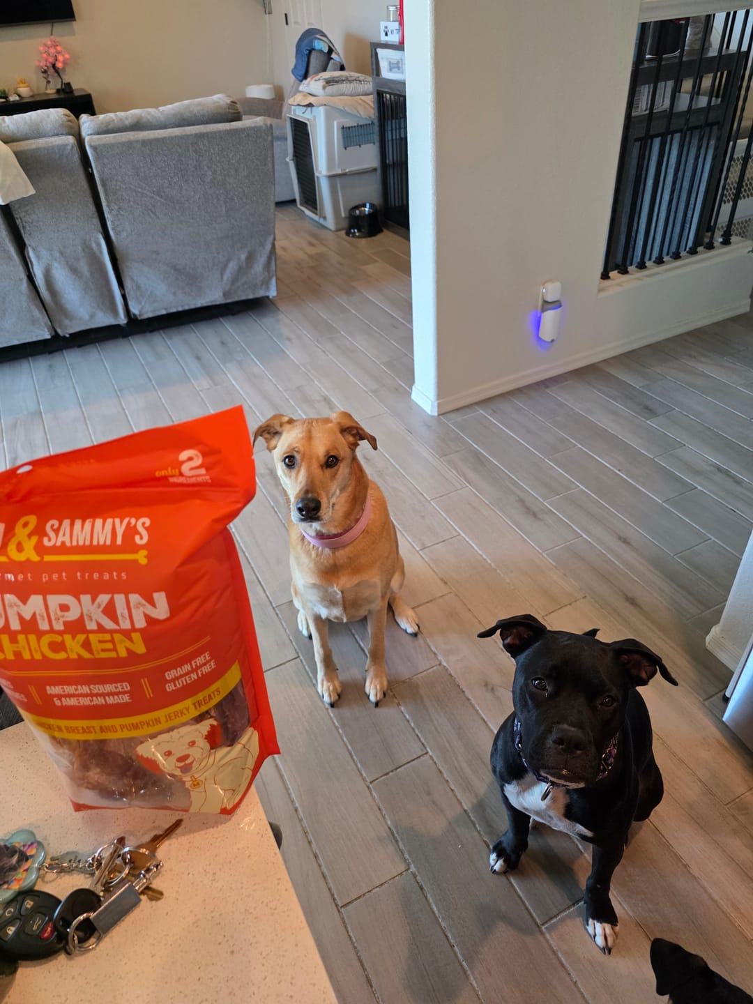 Customer photo review of Pumpkin Chicken