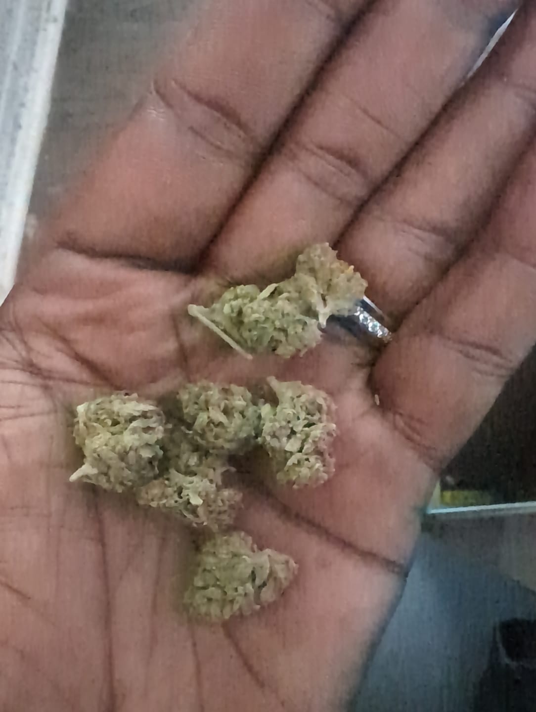 Customer photo review of Blackberry Kush - 28 Grams Littles - Indica