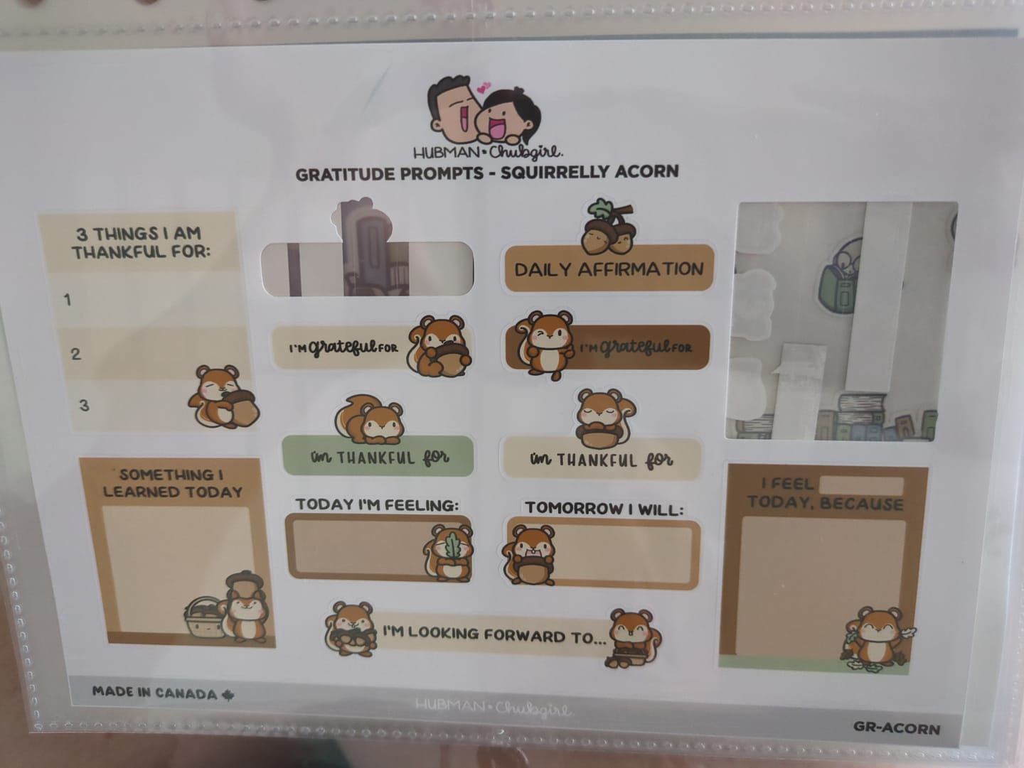Customer photo review of Sticker Sheet - Gratitude Prompts Squirrelly Acorn Theme
