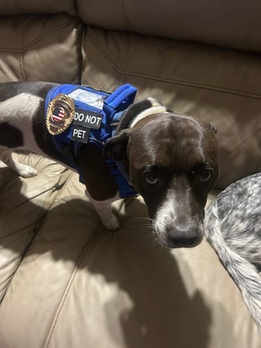 Customer photo review of Customizable Badge BA02