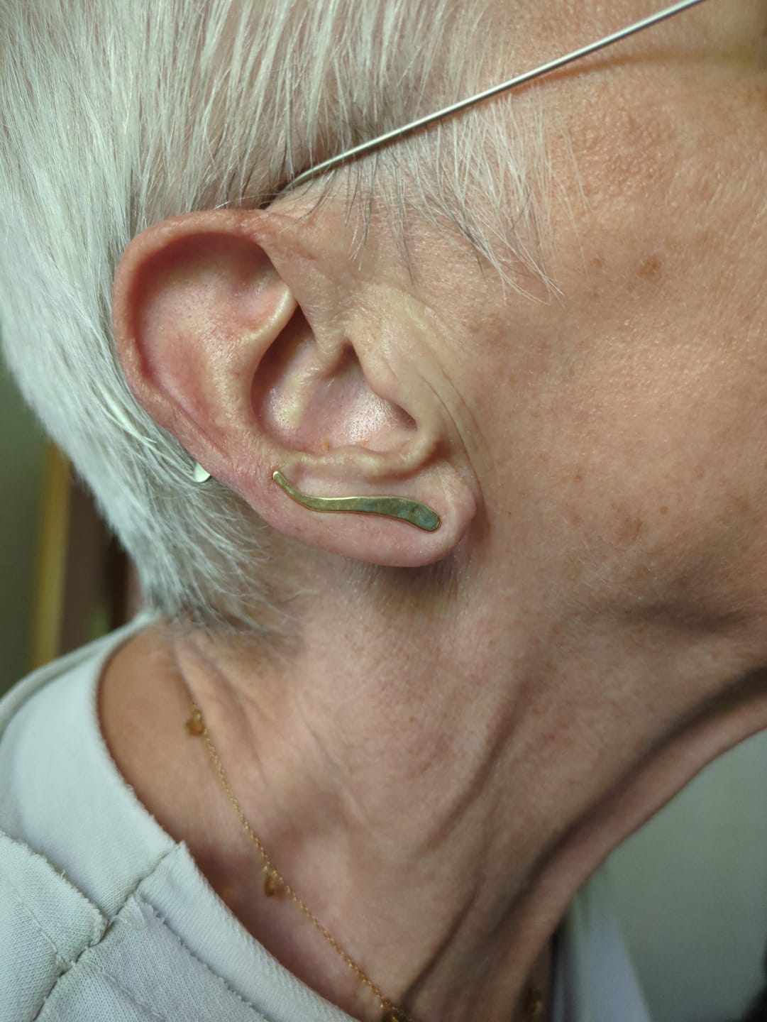 Customer photo review of Rise Ear Climber