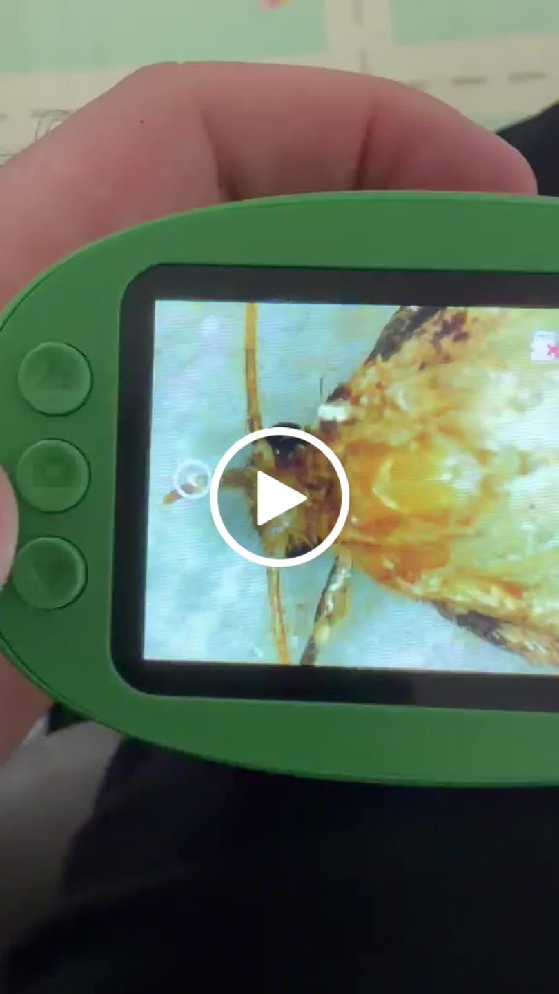 Customer video review of Edubini Abenteuer-Mikroskop für Kinder