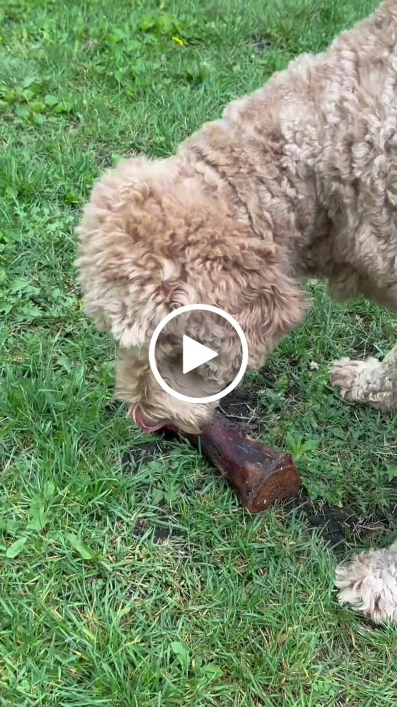 Customer video review of Smoked Beef Marrow Bone