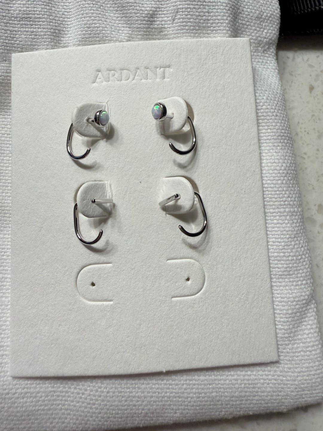 Customer photo review of Stay Close Opal Hoops