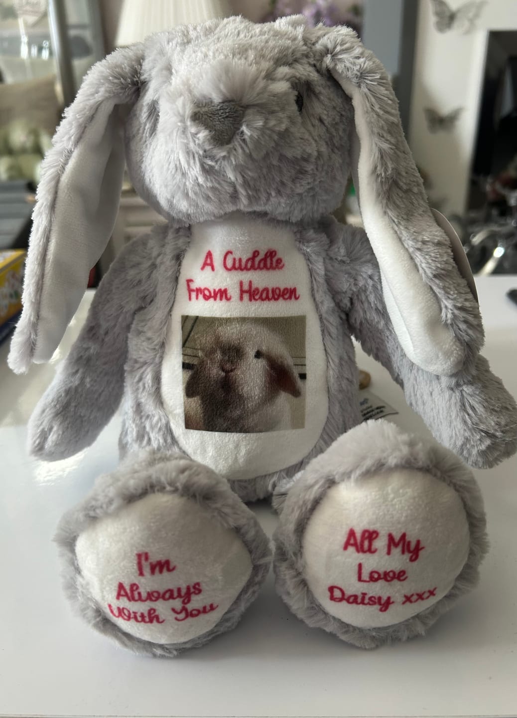 Customer photo review of Design a Personalised Grey Bunny Teddy – Add Your Photo, Name or Message