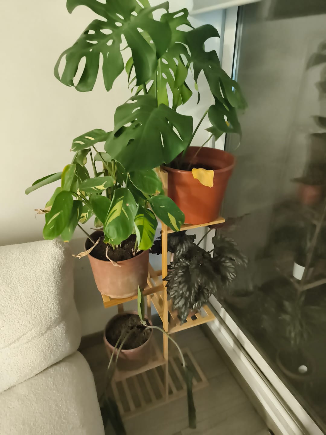 Customer photo review of Soporte para Plantas de 5 Niveles y 7 Niveles Estante Organizador de Macetas