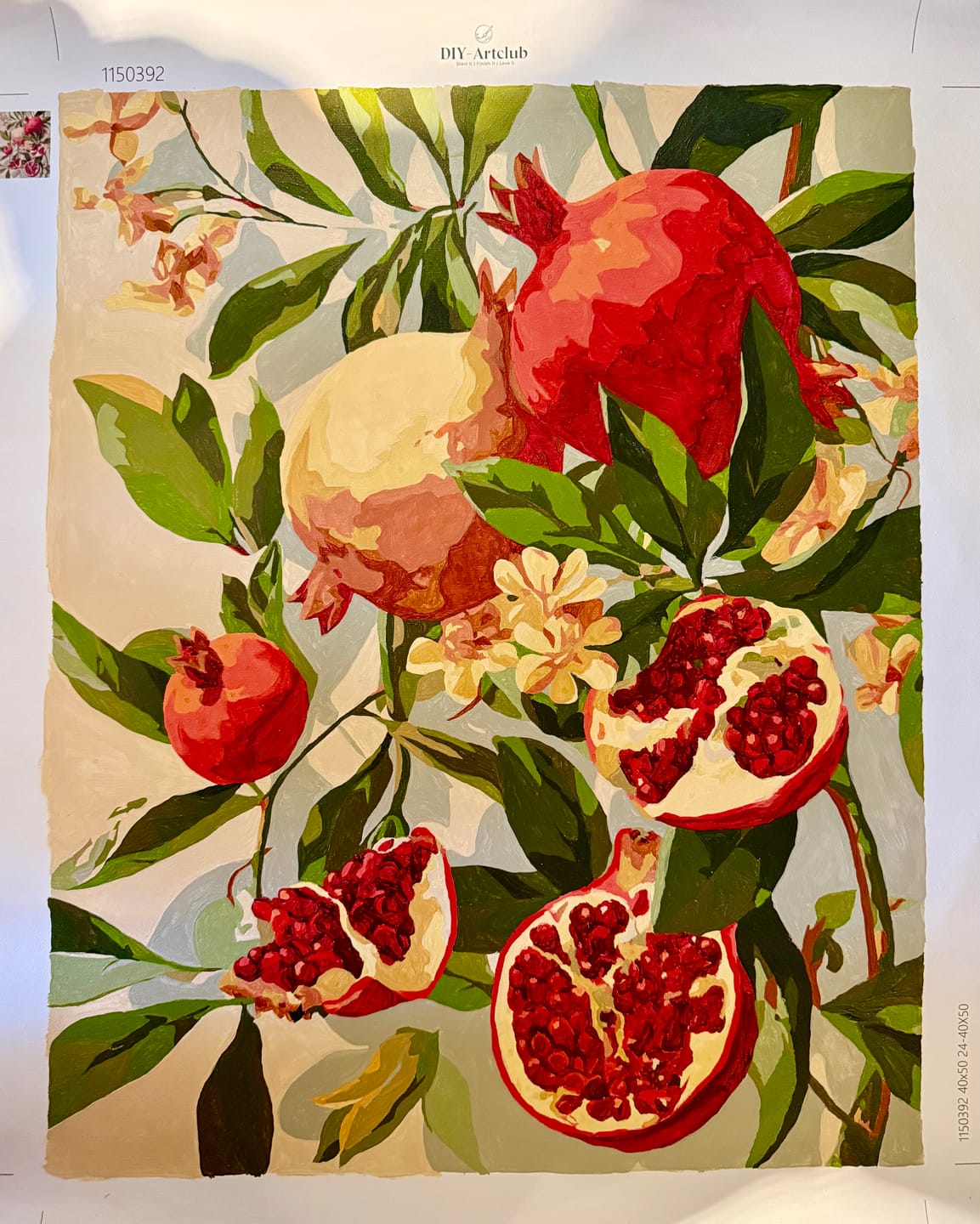 Customer photo review of Blooming pomegranates | Paint by Number
