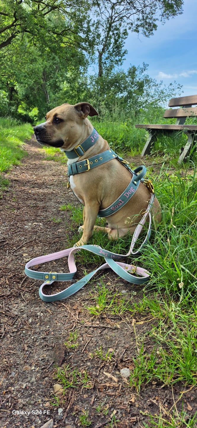 Customer photo review of Hundsele med namn