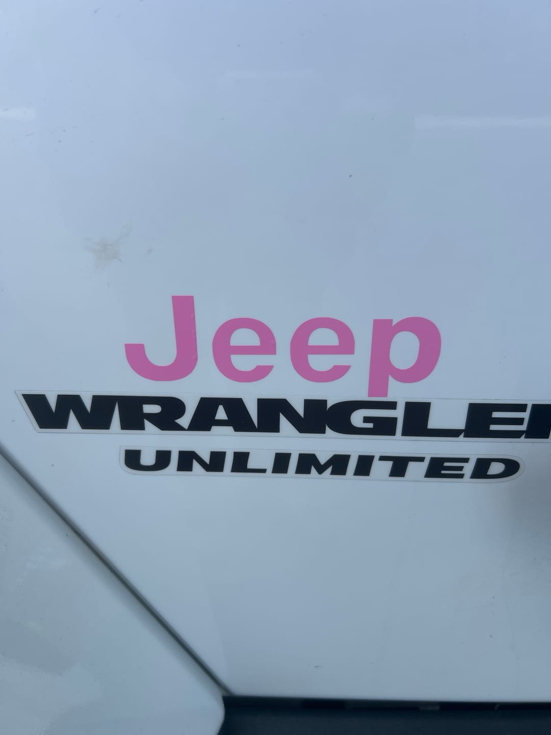 Customer photo review of JEEP Wrangler Emblem Overlay Decal Set | Fits JL, JK, TJ & YJ