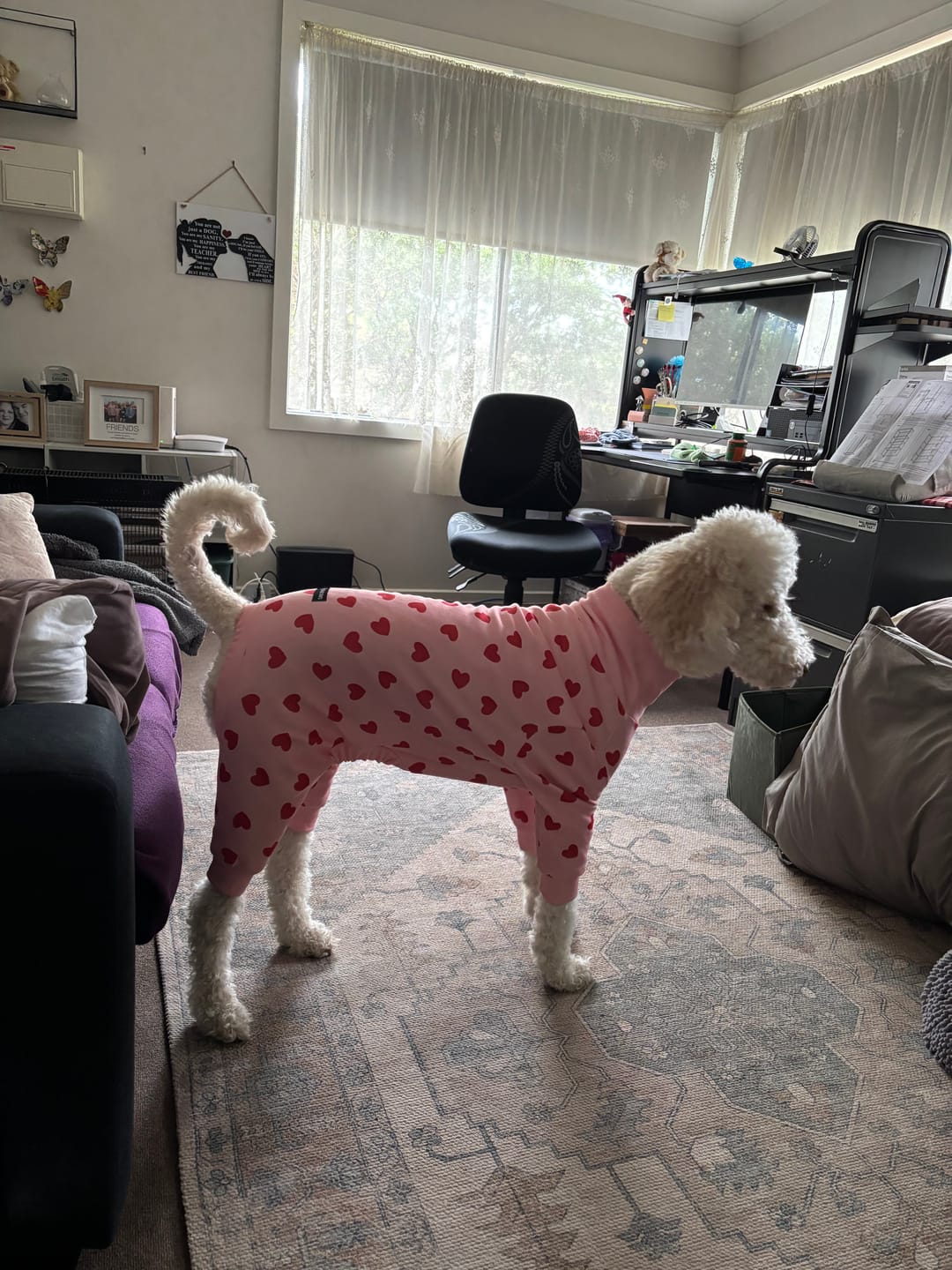 Customer photo review of Dog Pajama - Pink Hearts