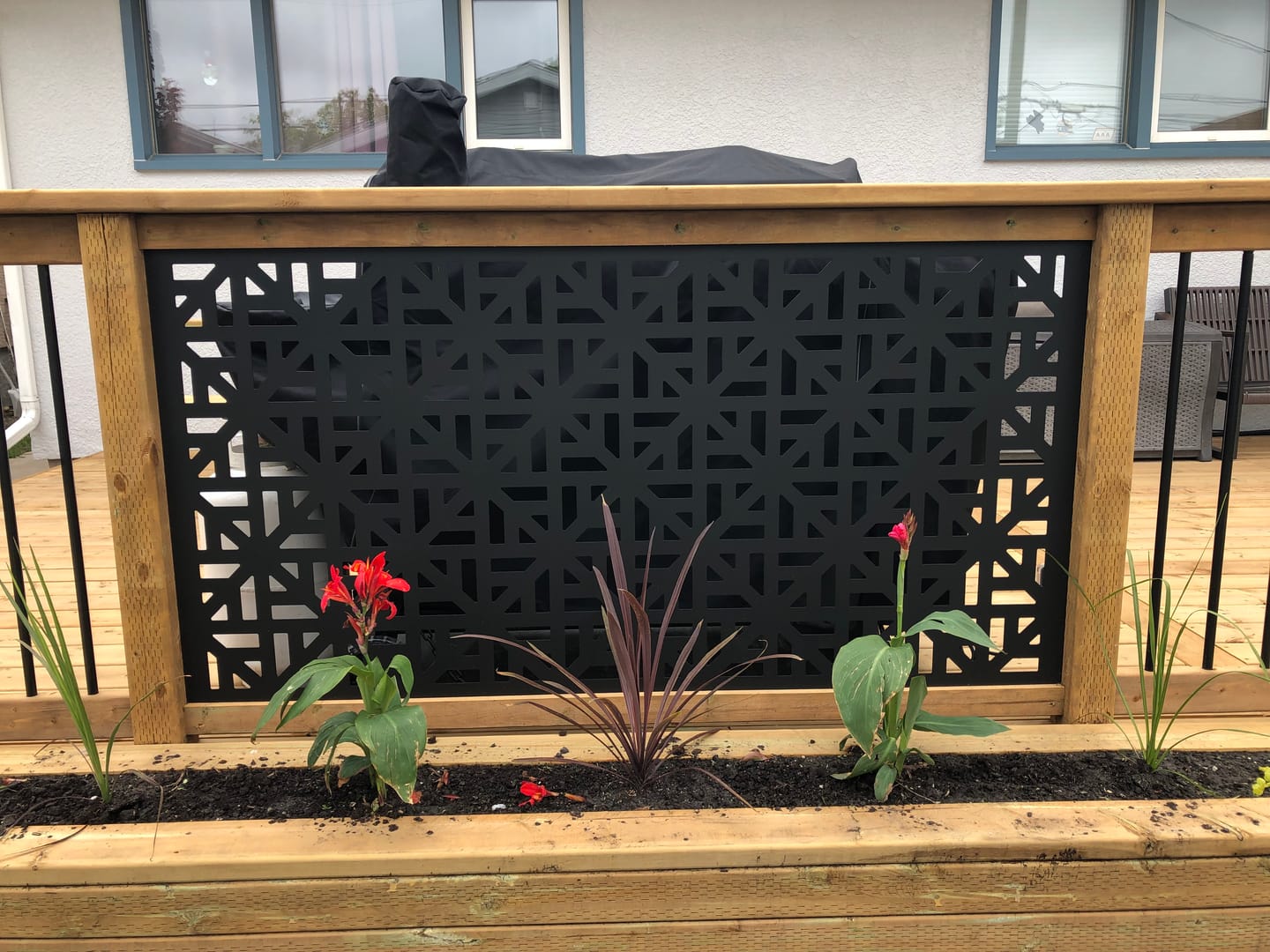 Customer photo review of Privacy Screen (Moderna)