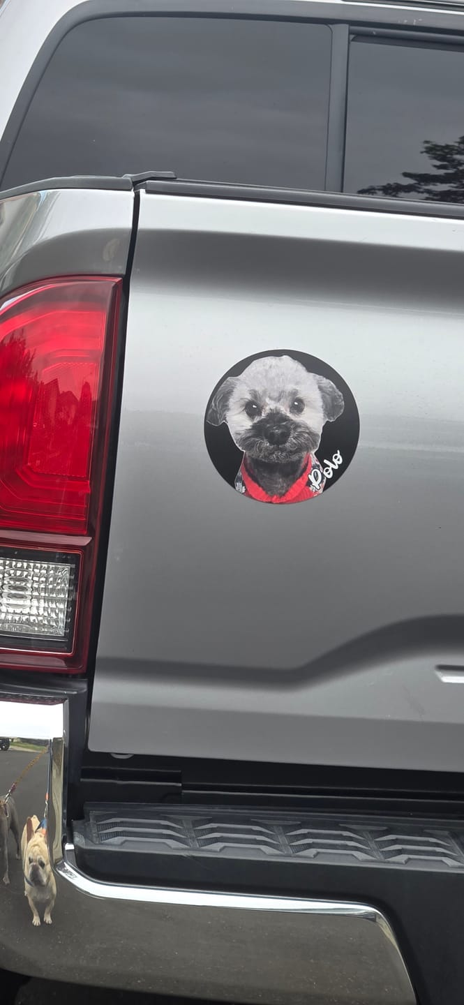 Customer photo review of Your photo - Personalized Car Magnet