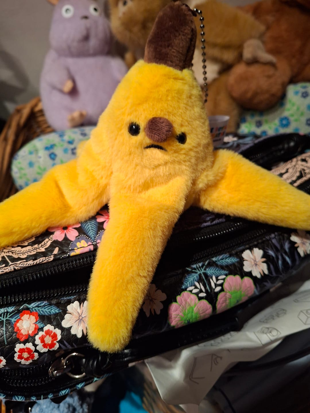 Customer photo review of Forgotten Banana Peel