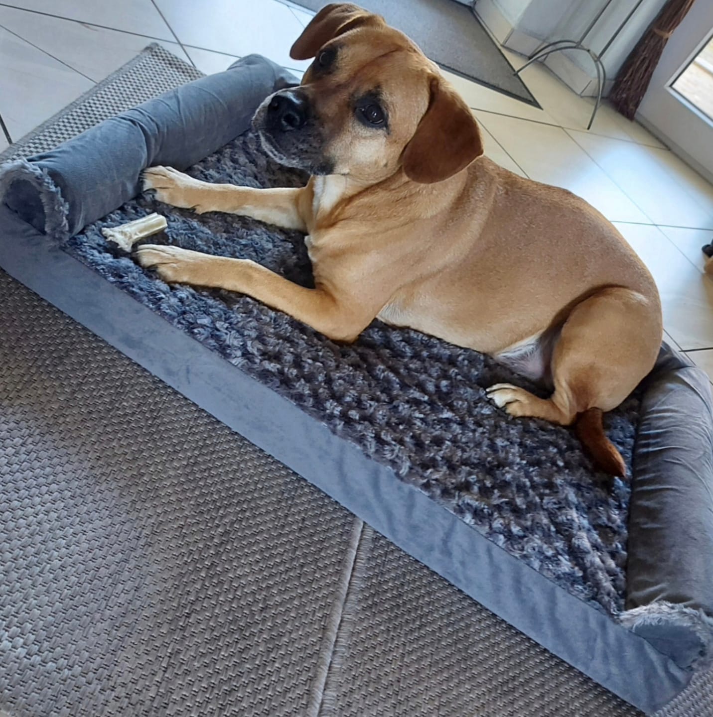 Customer photo review of OrthoWave Komfortbett🐾