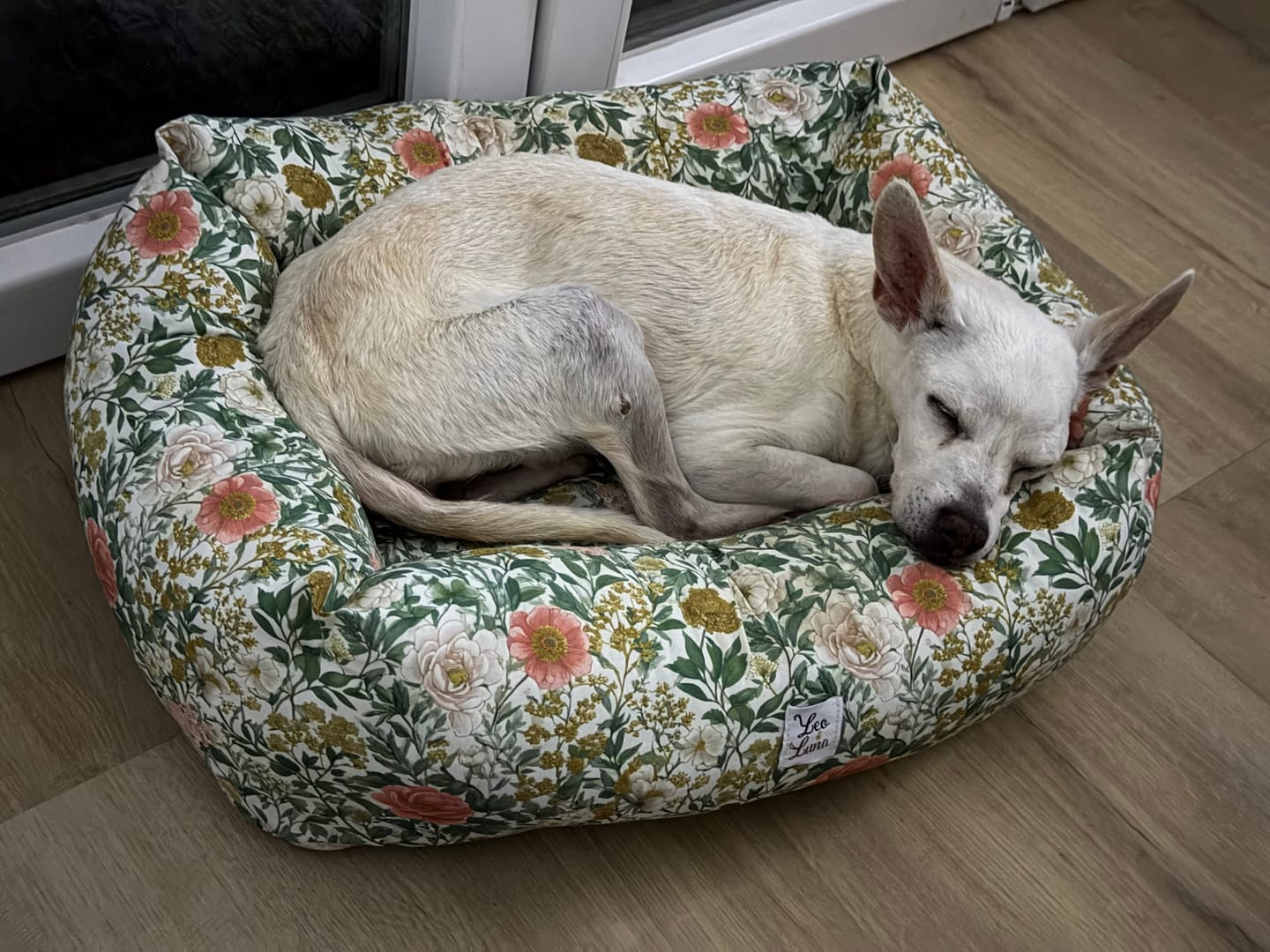Customer photo review of Divanetto Cotone Floreale Magnolia Fiorita