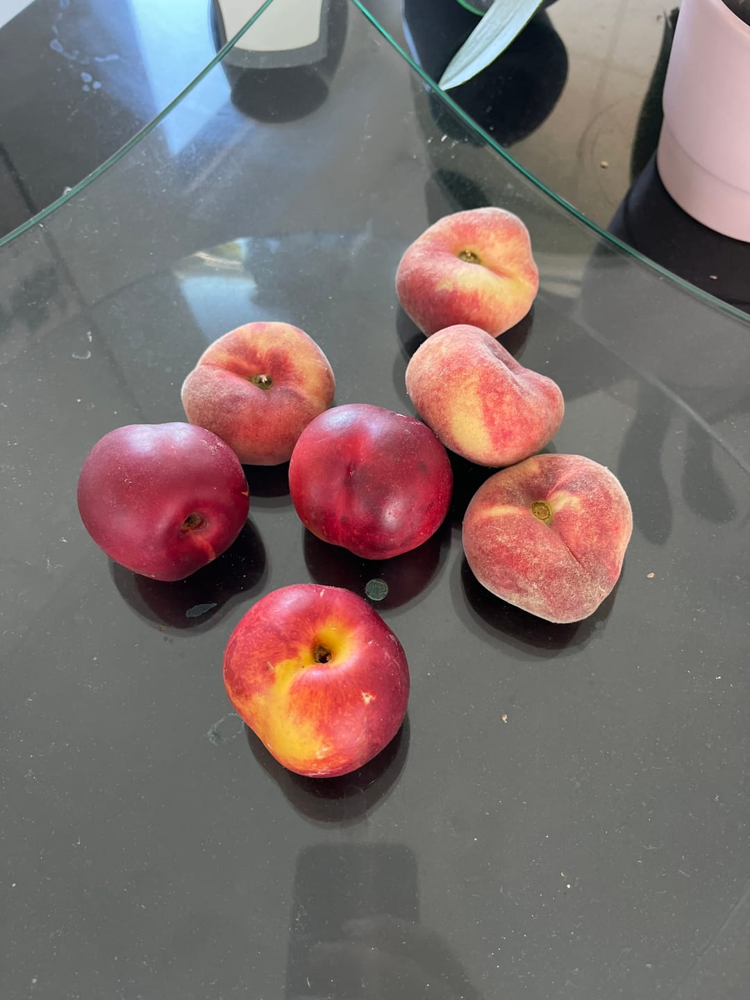 Customer photo review of Pfirsich & Nektarinen Bio von Jordi Retterbox 3kg