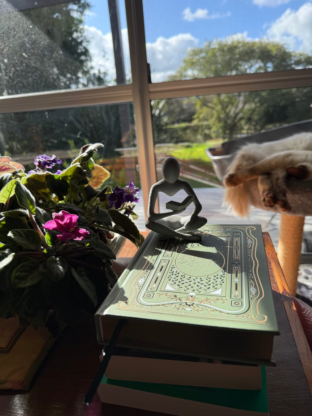 Customer photo review of Reading Journal - Sage