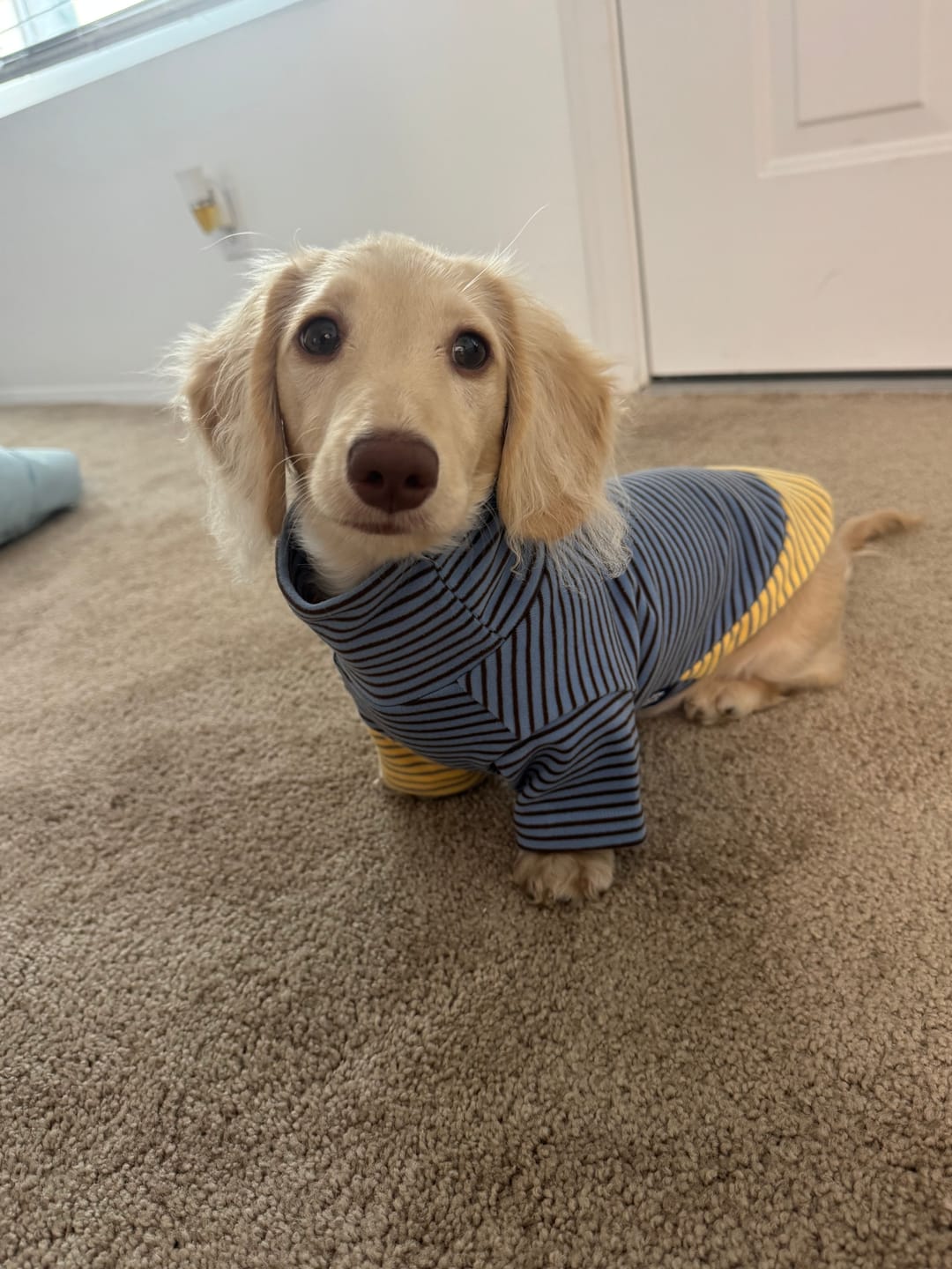 Customer photo review of Blue Hour  Microfleece Shirt