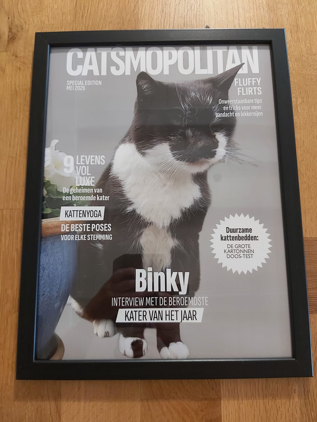 Customer photo review of Catsmopolitan - Gepersonaliseerde Poster
