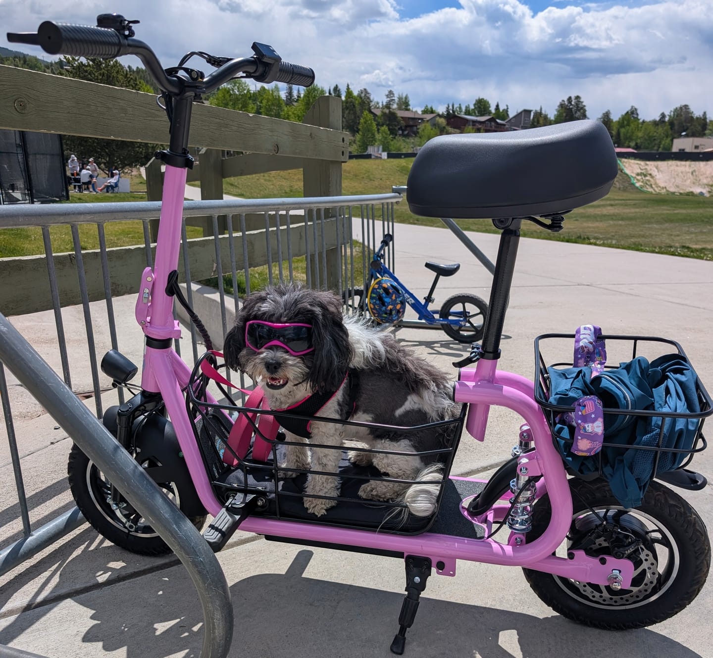 Customer photo review of Gyroor C1 Pro 800W(Peak) Scooter – Dual Baskets for Cargo & Pets