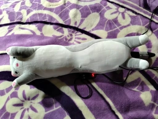 Customer photo review of Gatito Térmico