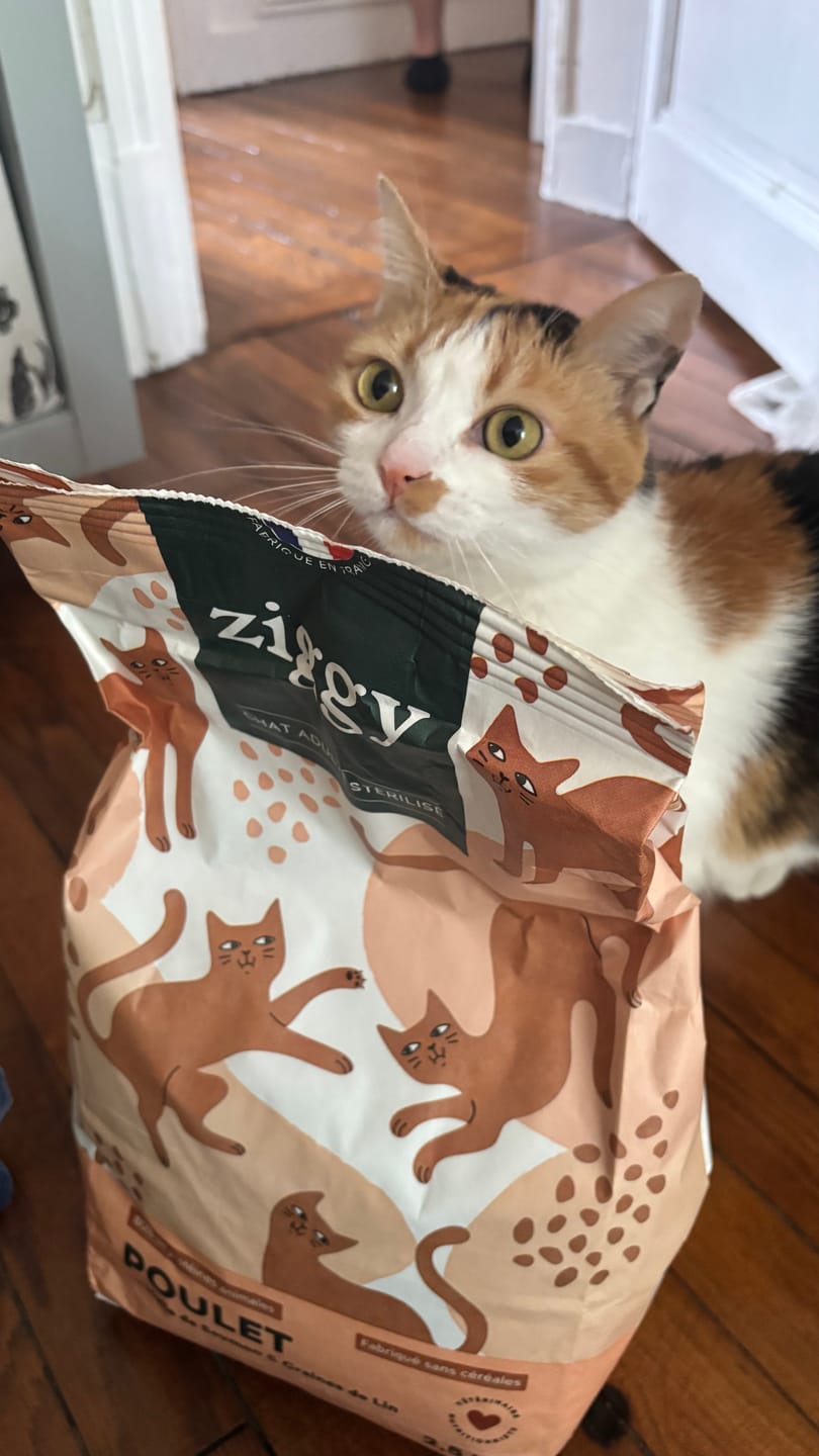 Customer photo review of Croquettes Chat Stérilisé Sans Céréales - Poulet