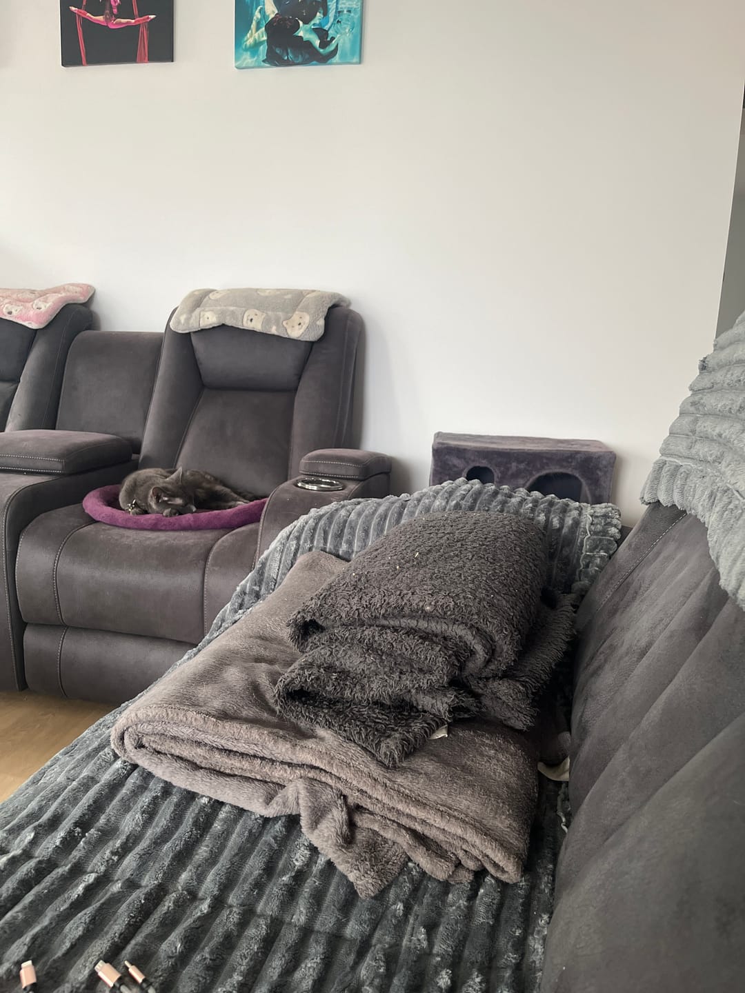 Customer photo review of CouchCloud - Couch Covers
