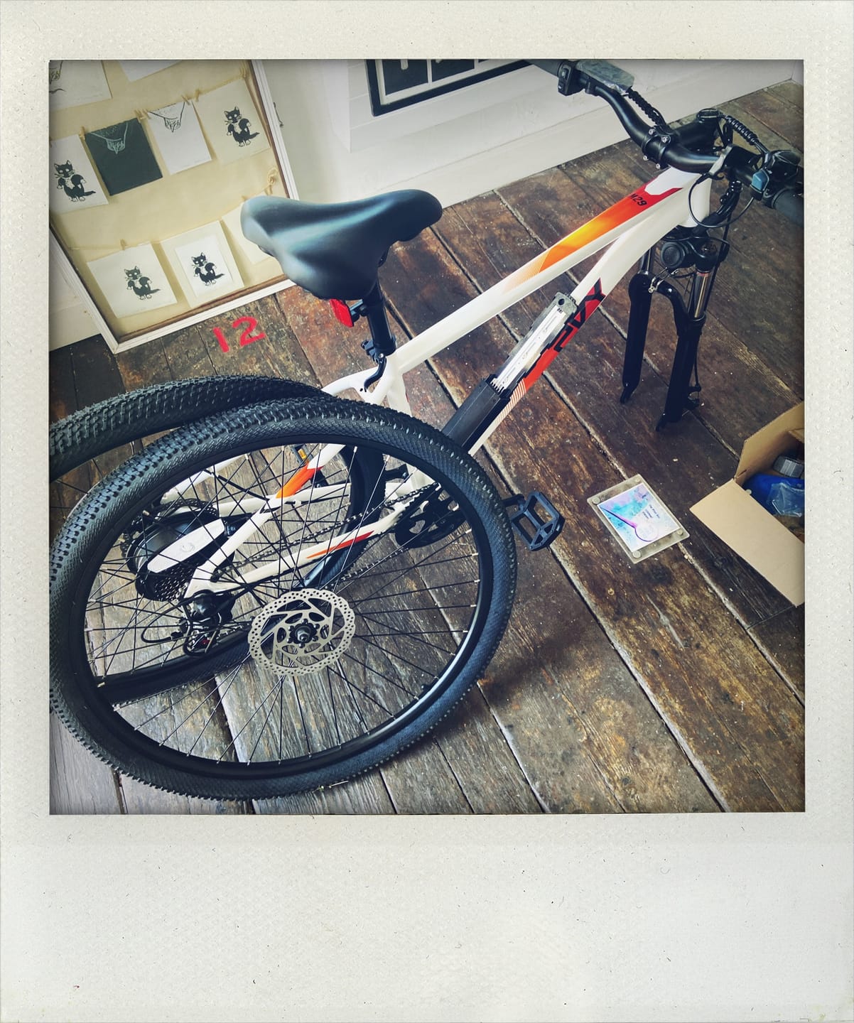 Customer photo review of PVY M29