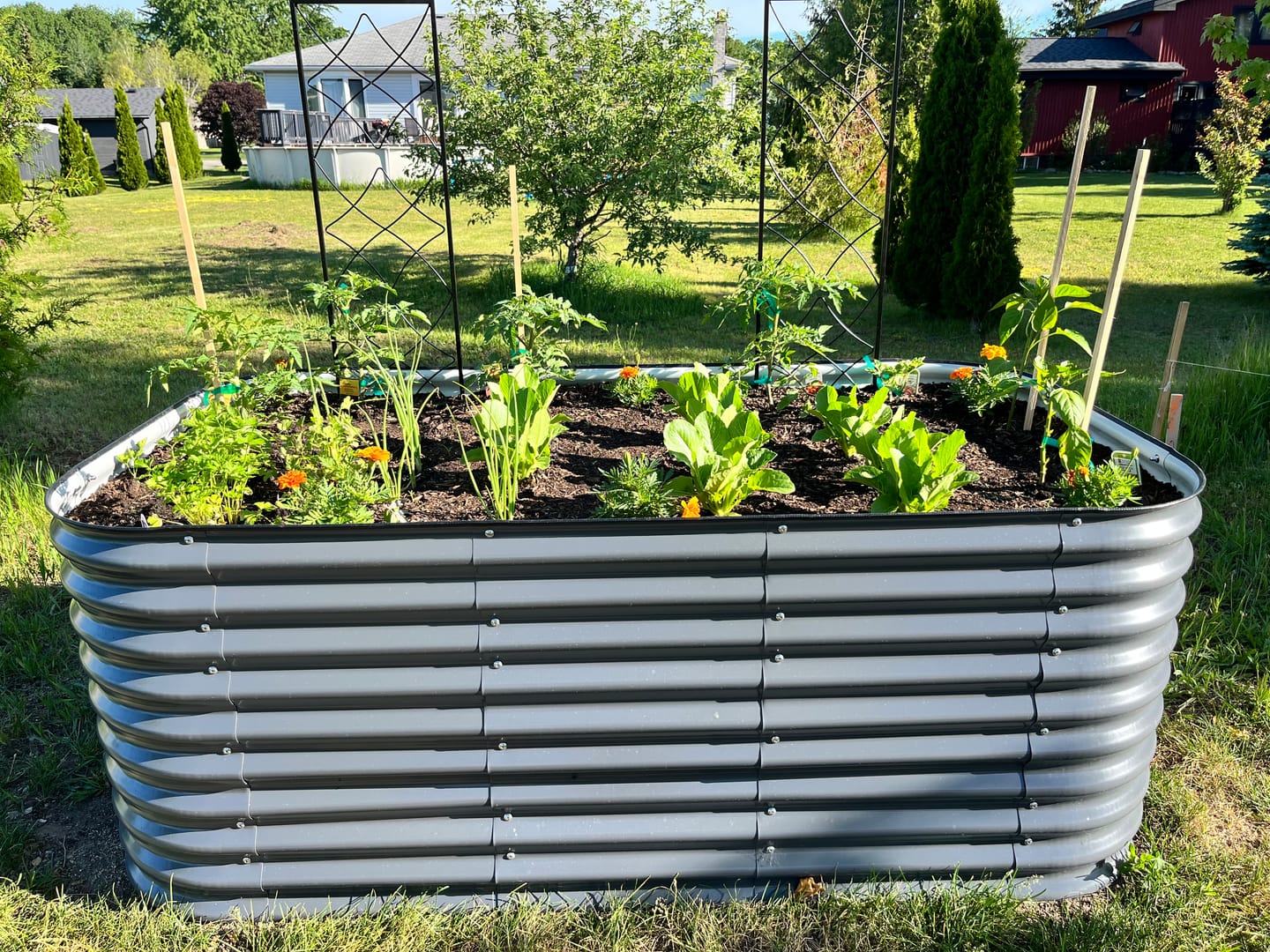 Customer photo review of 32" Tall Modular 9 in 1